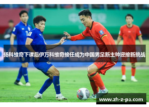 扬科维奇下课后伊万科维奇接任成为中国男足新主帅迎接新挑战